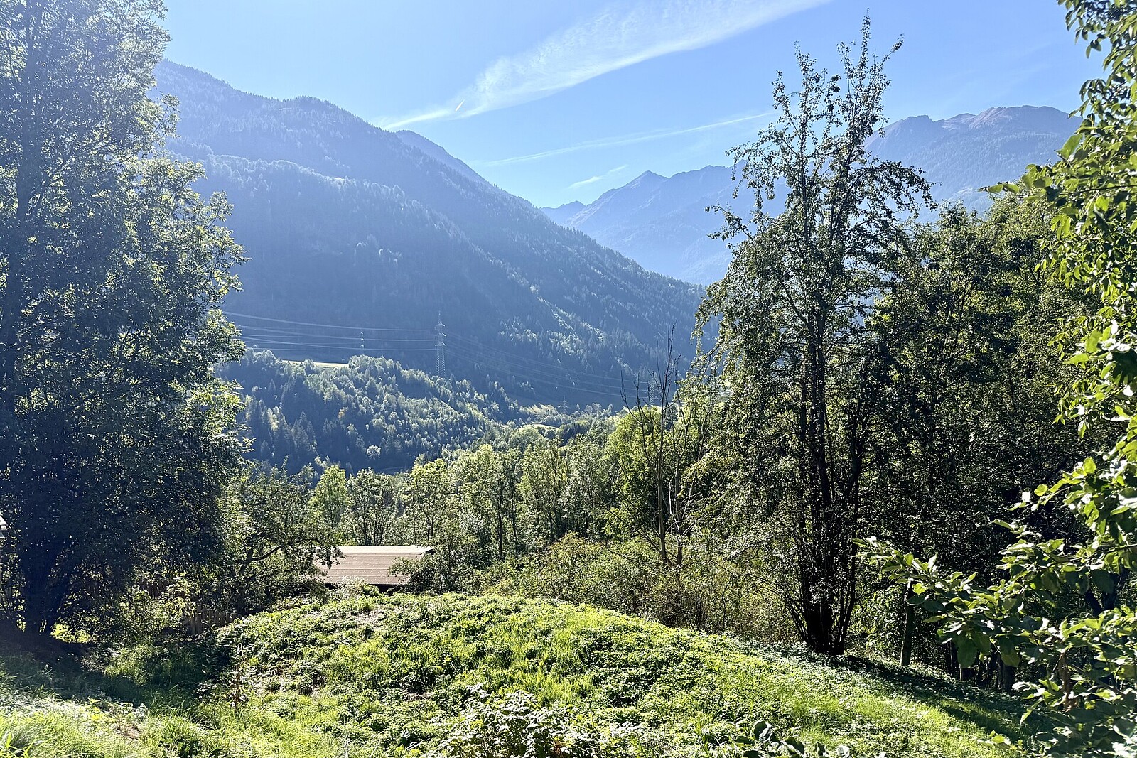 Grundstück-Nr. 1302
