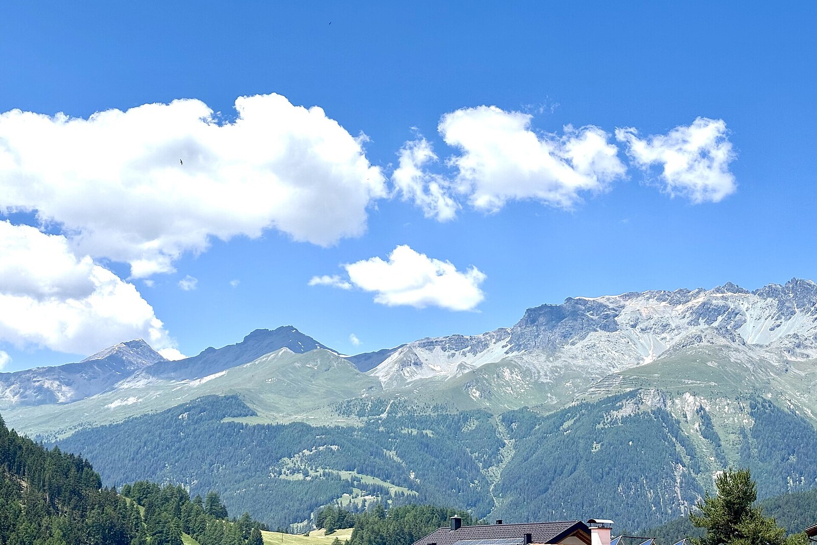 Ausblick